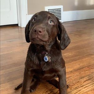 Meet your Posher, Nick